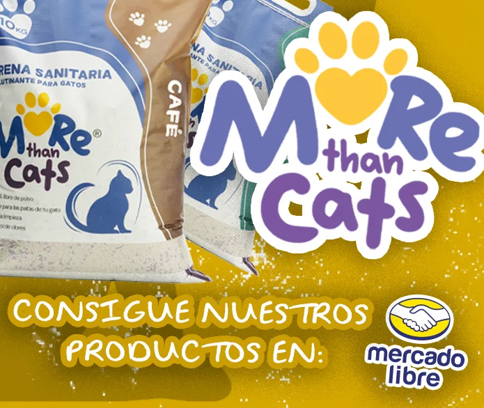 BANNER PRINCIPAL MOVIL